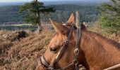 Tour Reiten Raon-l'Étape - Chapelle des pestiférés yoigo Tivio  - Photo 11