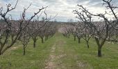 Trail  Saint-Uze - Rando des potiers St uzes 2025 - Photo 5