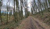 Trail Walking Andenne - GR RB Fam Namur 02 - Photo 6