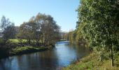 Tocht Te voet Crossen an der Elster - Mühlberg - Photo 3