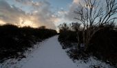 Tocht Te voet Texel - De Geul - Photo 8