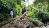 Tocht Stappen São Jorge - Levada del Rei - Photo 7