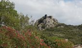 Randonnée Marche Vailhan - Vaihan - Vierge de l'Assomption - Tour de Castelas - Photo 3