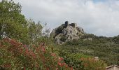 Trail Walking Vailhan - Vaihan - Vierge de l'Assomption - Tour de Castelas - Photo 3