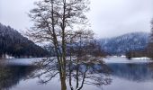 Tocht Stappen Xonrupt-Longemer - Le tour du lac de longemer  - Photo 4