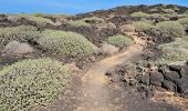 Trail Walking Yaiza - LANZAROTE 03 - El Golfo - Photo 13