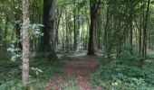 Trail Walking Cosnes-et-Romain - Saint-Denis 1 - Photo 6