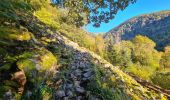 Tour Wandern Metzeral - Le belvédère du 1e Spitzkopf - Photo 13