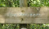 Trail Walking Saint-Mesmin - Puy des ages ( Notre dame de Partout) - Photo 1