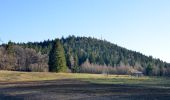 Tour Zu Fuß Gomadingen - Querweg - Oberdigisheim - Weg Nr. 1 - Oberdigisheim - Baienberg - bis zur Weggabelung - Photo 3