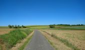Trail Walking Avon-les-Roches - Avon-les-Roches - Au pays des lavoirs - circuit court - 10.9km 130m 2h35 - 2019 06 01 - Photo 1