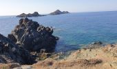 Excursión Senderismo Ajaccio - Les iles Sanguinaires. Corse - Photo 2
