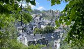 Tour Wandern Monschau - Autour et dans Monschau - Photo 10