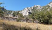 Trail Canoe - kayak Gorges du Tarn Causses - GR60 jour 8 Les Vignes - Photo 5