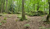 Trail Walking Saint-Chéron - Saint-Cheron - l'Orge - Photo 18