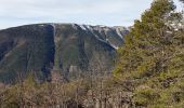 Tocht Stappen Annot - Chapelle St Pierre  - Photo 1