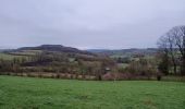 Trail Walking Voeren - altenbrouck - Photo 2