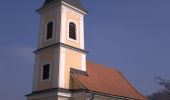 Tour Zu Fuß Sankt Johann in der Haide - St. Johann i.d. Haide - Unterlungitz Rundewanderweg - Photo 6