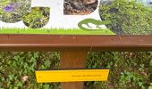 Trail Walking Aulon - J10-Aulon fait - Photo 18