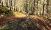 Randonnée Marche Lecumberry - Irabia pantano boucle par gr11 - Photo 1