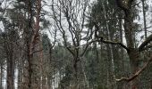 Tocht Stappen Chaudfontaine - tour du bois de la rochette - Photo 9