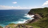 Trail Walking Le Moule - Porte d'Enfer - Anse Gros Morne - Photo 8