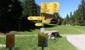 Trail On foot Vouvry - Miex-Lac Tanay (via Prélagine) - Photo 1