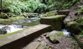 Tour Wandern São Jorge - Levada do Rei (Rother n°30) - Photo 19