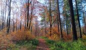 Tocht Stappen Spa - parc des 7 heures . thermes . frahinfaz . golf . lac de warfaaz . Fraineuse . spa centre  - Photo 12