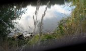 Tour Wandern Freneuse - 20220906-Freneuse Cool  - Photo 3