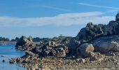Trail Walking Plougrescant - GR_34_DG_28_Plougrescant_Perros-Guirec_20240914 - Photo 6