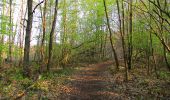 Tour Wandern Vieux-Moulin - en forêt de Compiègne_26_la Grotte des Ramoneurs_Tournantes de la Queue de Saint-Etienne et sur la Côte de Roilaye - Photo 14