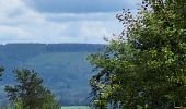 Excursión Senderismo Stoumont - Targnon Promenade de la Sureté - Photo 1