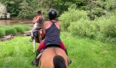 Trail Horseback riding Hériménil - Herimenil baignade Tivio Kenzo tiboy  - Photo 15
