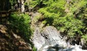 Trail Walking Les Houches - Les Gorges de la Diozaz  - Photo 2