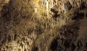 Randonnée Autre activité Dinant - grotte la merveilleuse  - Photo 10