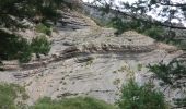 Trail Walking Le Saix - Le Fai - Lac de Peyssier - Photo 7