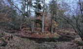 Tocht Stappen Fontainebleau - maison forestière Bois le roi 1er décembre 2023 - Photo 3