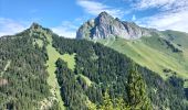 Tour Wandern Vacheresse - Tour du Mont Chauffé  - Photo 5