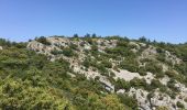Tour Wandern Puget - PF-Puget - Les Borrys-Rochers des 11 Heures-Croix de Fer-Combe de l'Euse - Photo 1