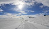 Tocht Sneeuwschoenen Albiès - Plateau de Beille - Photo 2