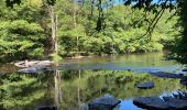 Tour Wandern Hohenfels - Ollômont - Photo 9