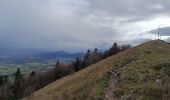 Trail Walking La Chapelle-en-Vercors - Serre Plumé  - Photo 18