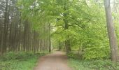 Tour Wandern Esneux - à travers les bois d Anthines et d Esneux - Photo 9