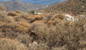 Excursión Senderismo Κοινότητα Ἁγίου Νικολάου - Le sommet d’Oxa à partir d’Agios Nikolaos - Photo 13