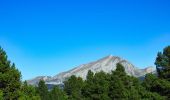 Randonnée Marche Saint-Agnan-en-Vercors - Rando ASPTT Pas des Econdus Pas  de Chabrinel - Photo 10