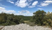 Tour Wandern Saint-Gély-du-Fesc - Saint gel y/ Murles - Photo 1