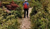 Trail Walking La Couvertoirade - La couvertoirade - Photo 4