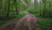 Trail Walking Virton - Lamorteau  -  Balade_VTT_28kms - Photo 10