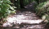 Tocht Stappen Saint-Nectaire - TOUR DU PUY D' ERAIGNE DEPUIS LE CAMPING 